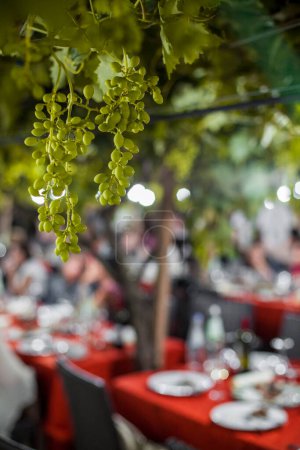 Téléchargez les photos : Table floue décorée pour une fête - en image libre de droit