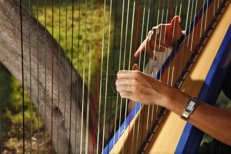 Téléchargez les photos : Gros plan de la femme jouant de la harpe - en image libre de droit