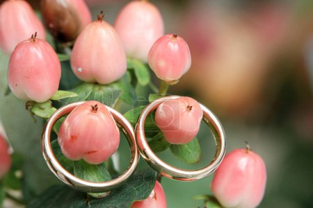 Téléchargez les photos : Anneaux de mariage sur rose - en image libre de droit