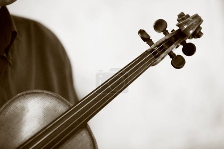 Photo for Violin and bow of a musician - Royalty Free Image