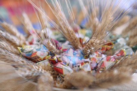 Téléchargez les photos : Vue rapprochée des épis de blé et des bonbons, mise au point sélective - en image libre de droit