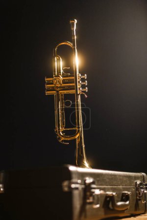 Photo for Close up of musical instrument - Royalty Free Image