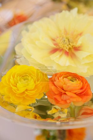 Foto de Un plano vertical de una flor de ranúnculo amarillo y naranja - Imagen libre de derechos