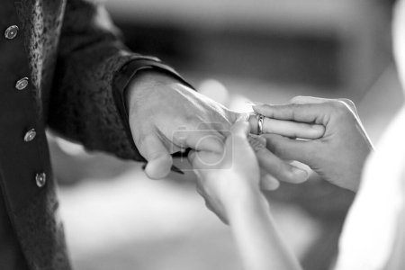 Photo for Groom 's hand holding wedding ring - Royalty Free Image