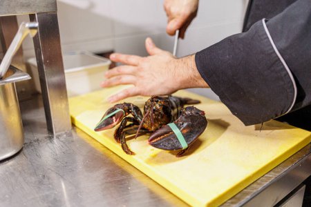 Téléchargez les photos : Chef préparant homard frais sur la cuisine - en image libre de droit