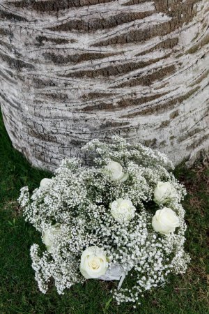 Téléchargez les photos : Fleurs blanches dans le jardin - en image libre de droit