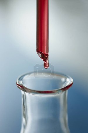 Téléchargez les photos : Goutte de sang tombe sur un tube à essai en verre, isolé sur fond gris - en image libre de droit