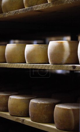 Téléchargez les photos : Un plan vertical d'une pile de fromage sur les étagères d'un magasin - en image libre de droit