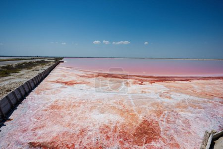 Photo for Red salt lake in Saline Margherita di Savoia of Italy. - Royalty Free Image