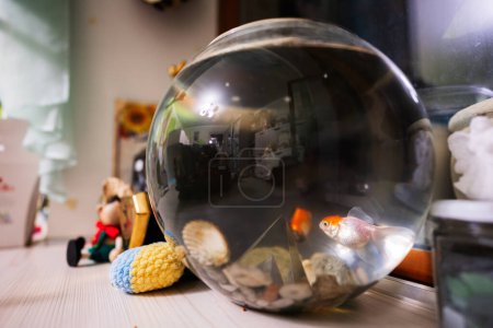 Photo for Bright small goldfishes in round glass aquarium on table in kids room. - Royalty Free Image