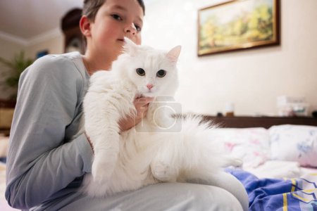 A cozy indoor setting with a person holding a beautiful white fluffy cat, portraying a sense of comfort, care, and companionship.