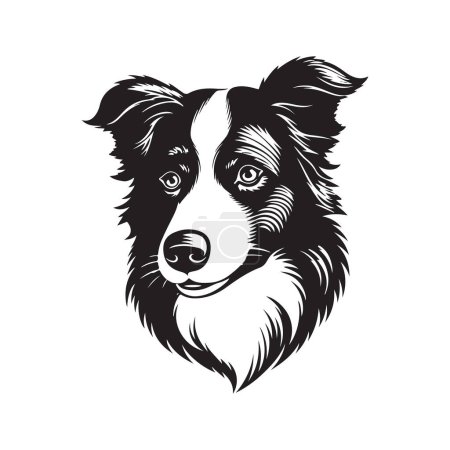 Téléchargez les illustrations : Border collie dog, concept vectoriel art numérique, illustration dessinée à la main - en licence libre de droit