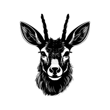 Illustration for Musk deer, vintage logo line art concept black and white color, hand drawn illustration - Royalty Free Image