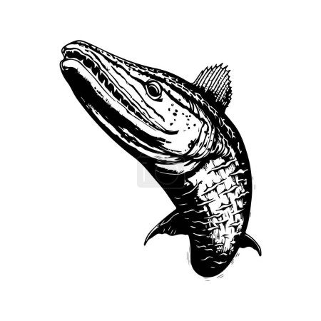 Illustration for Mosasaurus, vintage logo line art concept black and white color, hand drawn illustration - Royalty Free Image
