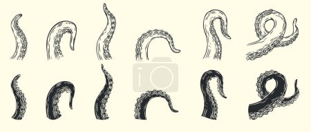 Establecer tentáculos de pulpo diferentes posturas aisladas sobre fondo blanco en estilo dibujado a mano de dibujos animados. Ilustración vectorial monocromática.