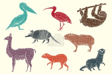 Téléchargez les illustrations : Set couleur oiseaux et animaux d'Amérique du Sud dans un style vintage dessiné à la main. Fourmilière, tapir, capybara, loutre, pélican, armadillo, ibis, paresseux, guanaco, agouti. Illustration vectorielle de croquis. - en licence libre de droit