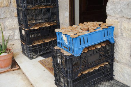 Foto de Montones de cajas de plástico que contienen vainas de café usadas, que se dejan al aire libre al sol: los granos de café se reciclan una vez que se secan como fertilizante en la jardinería orgánica - Imagen libre de derechos