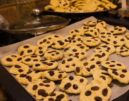 Photo for Homemade artisanal cookies browned in the oven in a metal plate, having in crusted dry grapes instead of chocolate chips - Royalty Free Image