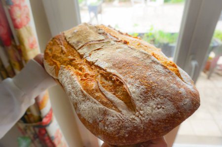 Foto de Golden crust of a huge loaf of French farmhouse bread sprinkled of white wheat flour ; traditional bread is one of the most stereotyped symbols of France abrod - Imagen libre de derechos