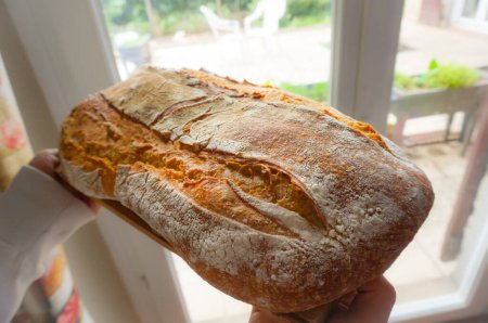 Foto de Golden crust of a huge loaf of French farmhouse bread sprinkled of white wheat flour ; traditional bread is one of the most stereotyped symbols of France abrod - Imagen libre de derechos