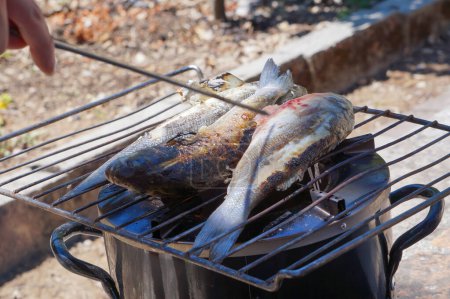 Foto de Fishes being fried on a cookout grill set on a log stove burner, used as a mini barbecue - Imagen libre de derechos