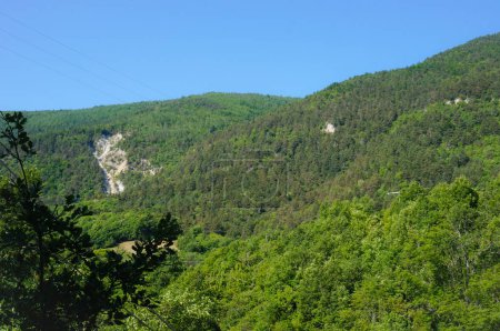 Foto de Alpes-de-Haute-Provence, Francia - Paisaje montañoso en las gargantas del Verdon, en los Alpes provenzales franceses: una ladera cubierta por verdes bosques de coníferas, con afloramientos rocosos, y un cielo azul claro - Imagen libre de derechos