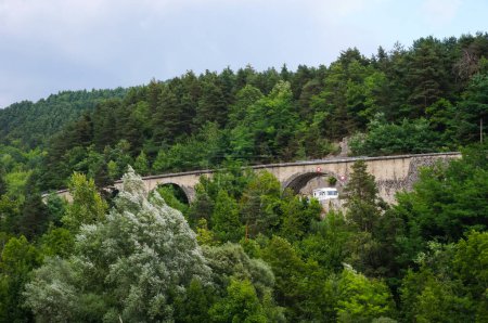 Téléchargez les photos : Pont voûté en pierre construit sur une pente boisée au milieu des arbres, supportant une route de montagne dans le magnifique paysage forestier des Alpes-de-Haute-Provence, une zone verdoyante dans les Alpes du Sud de la France - en image libre de droit