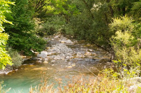 Téléchargez les photos : Le Vaire, affluent de la rivière Var et ruisseau de montagne paisible dans le magnifique paysage forestier des Alpes de Provence, France : l'eau verte coule doucement entre les galets et les arbres - en image libre de droit