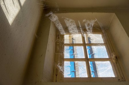 Téléchargez les photos : Vue en angle bas d'une toile d'araignée énorme et épaisse sur une fenêtre muntin ayant des barres et éclairée par la lumière du soleil, à l'intérieur d'une vieille maison poussiéreuse avec des murs clairs et un haut plafond - en image libre de droit