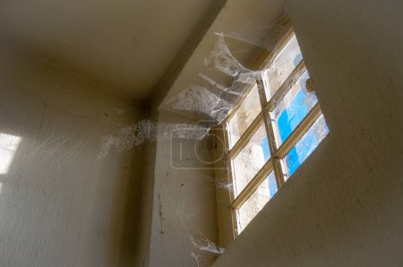 Téléchargez les photos : Vue en angle bas d'une toile d'araignée énorme et épaisse sur une fenêtre muntin ayant des barres et éclairée par la lumière du soleil, à l'intérieur d'une vieille maison poussiéreuse avec des murs clairs et un haut plafond - en image libre de droit