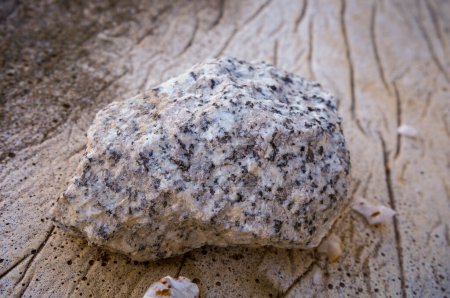 Photo for White and black spot crystals at the surface of a block of granite, and little shards of white quartz with red oxyde around - Royalty Free Image