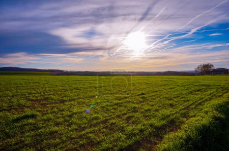 Photo for Beautiful countryside landscape in France with peaceful green field, light leak and sunlight through clouds and aircraft contrails at the start of sunset - Royalty Free Image