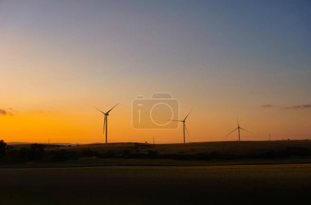 Photo for A group of wind turbines aligned at the horizon in a wind farm, with fields in the foreground, sunset - Royalty Free Image