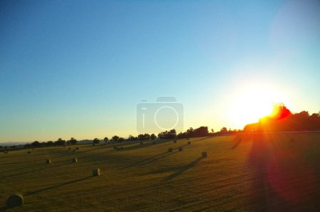 Téléchargez les photos : Un champ avec des meules de foin au lever du soleil, dans la campagne française - en image libre de droit