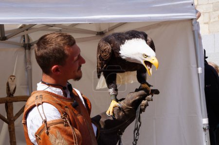 Photo for Reims, France - May 29, 2022 - Live spectacle of falconry, starring a bald eagle, at the 2022 "Ftes johanniques", a medieval festival which celebrate Joan of Arc and King Charles VII's tale - Royalty Free Image