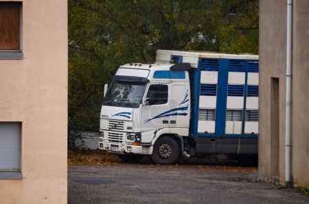 Téléchargez les photos : Albi, France - Décembre 2021 - Un vieux véhicule de bétail bleu et blanc, garé devant une installation industrielle ; le tracteur routier, un FH 420, est du constructeur automobile suédois Volvo Trucks - en image libre de droit