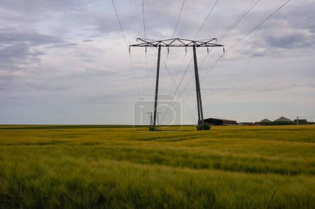 Foto de Líneas de alta tensión sostenidas por un pilón eléctrico metálico en medio de un campo de trigo, entre el monte Berru y Reims, en el noreste de Francia, en una zona agrícola de la campiña de Champagne - Imagen libre de derechos
