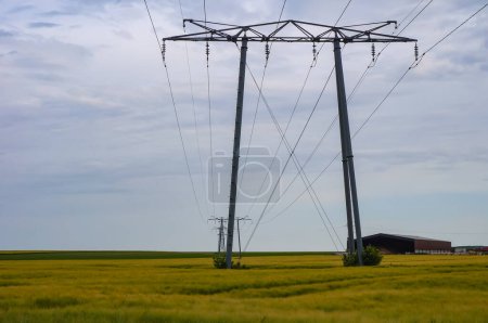 Foto de Líneas de alta tensión sostenidas por un pilón eléctrico metálico en medio de un campo de trigo, entre el monte Berru y Reims, en el noreste de Francia, en una zona agrícola de la campiña de Champagne - Imagen libre de derechos