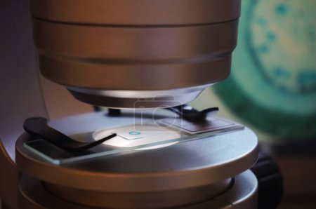 Foto de Observación de un tallo de dicotiledón de madera con un microscopio digital, bajo luz artificial, blanca, en Francia; el espécimen está en el escenario, entre dos diapositivas de vidrio estabilizadas con soportes metálicos - Imagen libre de derechos