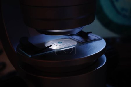 Téléchargez les photos : Albi, France - Déc. 2021 - Observation d'une tige de dicotylédon de bois au microscope, sous lumière artificielle ; l'échantillon est sur scène, entre deux lames de verre stabilisées avec des supports métalliques - en image libre de droit