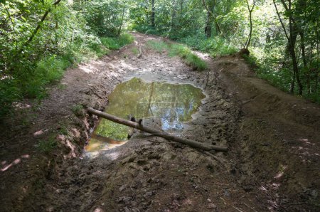 Téléchargez les photos : Une flaque boueuse, pleine d'eau de pluie, formée de traces de pneus sur un sentier de terre dans la forêt qui monte le mont de Berru, une colline boisée qui domine Reims, en Champagne, dans le nord-est de la France - en image libre de droit