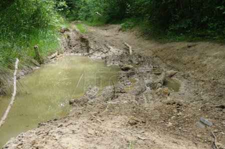 Foto de Un charco fangoso, lleno de agua de lluvia, formado en pistas de neumáticos en un camino de tierra en el bosque que sube al Monte de Berru, una colina boscosa que domina Reims, en Champagne, en el noreste de Francia - Imagen libre de derechos