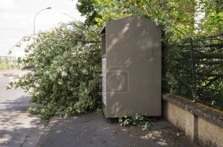 Foto de Reims, Francia - 20 de junio de 2021 - Árbol se derrumbó de lado, desarraigado por el fuerte viento de la severa tormenta del día anterior, por la calle Chemin des Rouliers en Moulin de la Housse - Imagen libre de derechos