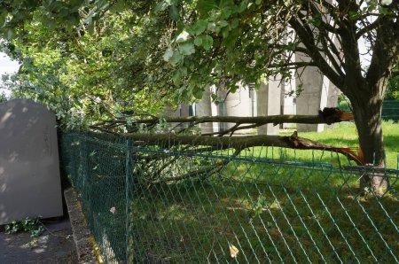 Foto de Reims, Francia - 20 de junio de 2021 - Ramas de árboles colapsadas, arrancadas violentamente del tronco por el viento, en el barrio del Moulin de la Housse, a raíz de la tormenta del día anterior - Imagen libre de derechos