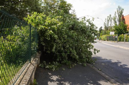 Foto de Reims, Francia - 20 de junio de 2021 - Las ramas de los árboles cayeron en la acera de Chemin des Rouliers Road, distrito de Moulin de la Housse, después de haberse derrumbado durante la tormenta del día anterior - Imagen libre de derechos