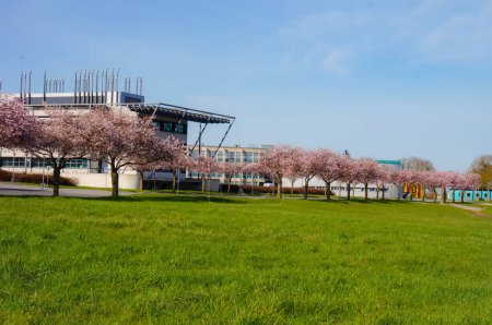 Photo for Reims, France - March 2021 - Blooming cherry trees in front of the MEDyC, a laboratory in medical biology that is part of the French National Research Center and of Reims Champagne-Ardenne University - Royalty Free Image