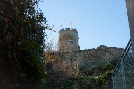Téléchargez les photos : Vestiges du château fort de Najac, France, l'une des bastides de Rouergue, avec la tour ronde massive sur le sommet de la colline, des remparts et des buissons au premier plan - en image libre de droit