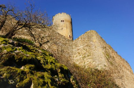 Foto de Restos del castillo fortificado de Najac, Francia, una de las bastidas de Rouergue, con la enorme torre redonda en la cima de la colina, murallas y arbustos rocosos en primer plano - Imagen libre de derechos