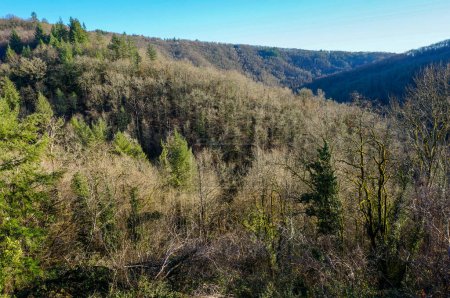 Foto de Paisaje bucólico con una vista panorámica sobre el bosque de coníferas, colinas boscosas y mesetas de Rouergue en el valle del río Aveyron en el sur de Francia, disparado desde el pintoresco Najac - Imagen libre de derechos