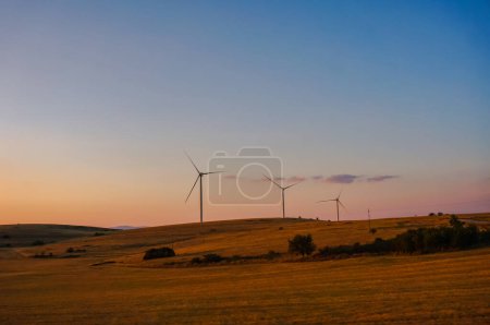 Photo for Wind turbines aligned at the horizon at sunset - Royalty Free Image